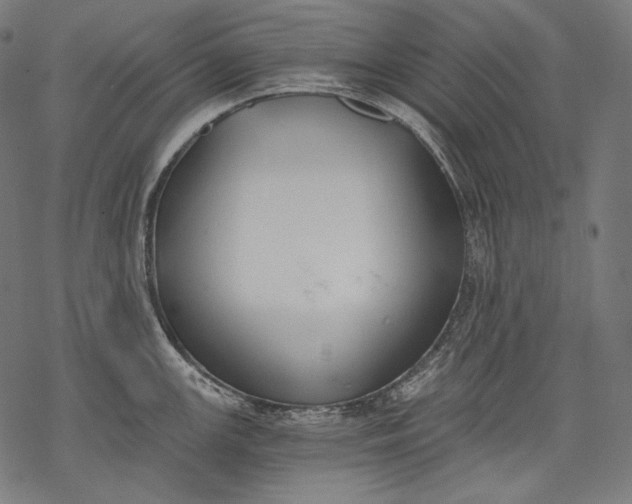 X0000068311147200605051524