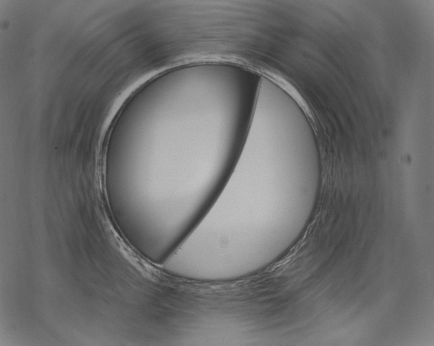 X0000068311148200605051524