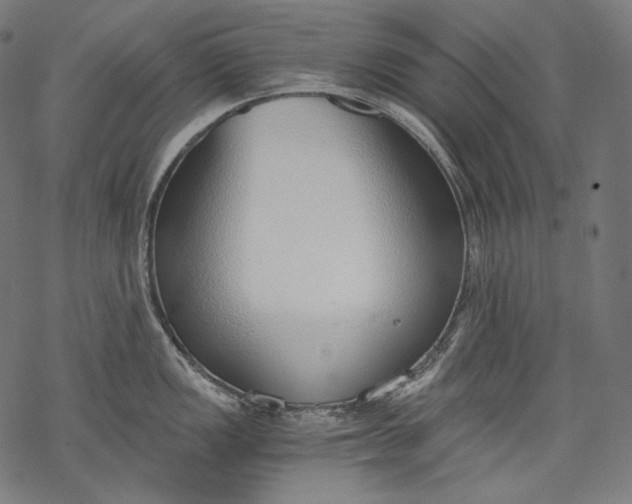 X0000068311149200605051524