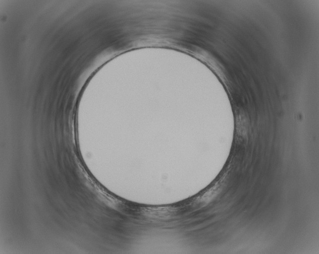 X0000068311150200605051524