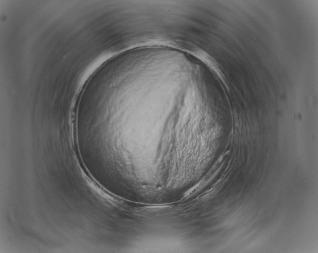 X0000068311151200605051524