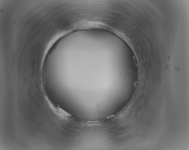 X0000068311152200605051524