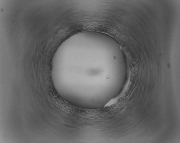 X0000068311153200605051523