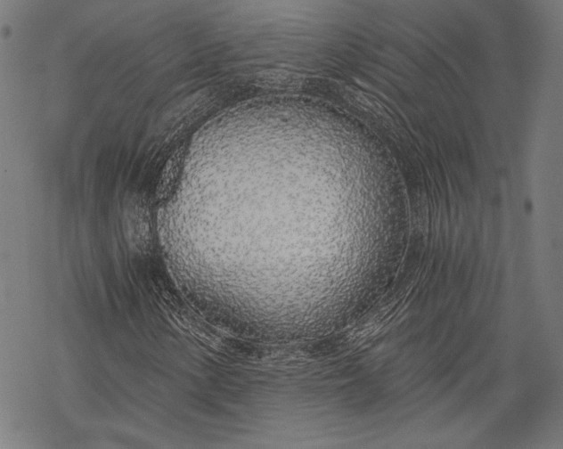 X0000068311154200605051523