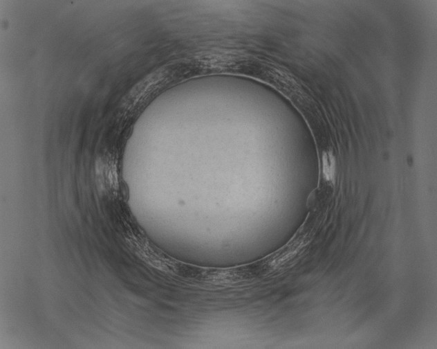 X0000068311155200605051523