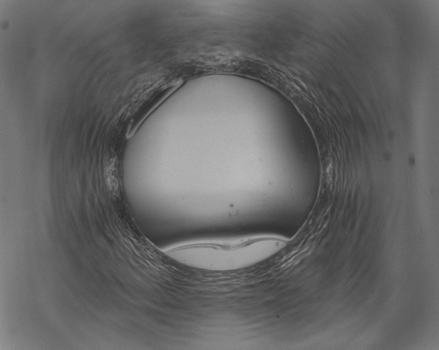 X0000068311156200605051523