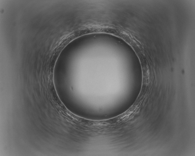 X0000068311157200605051523