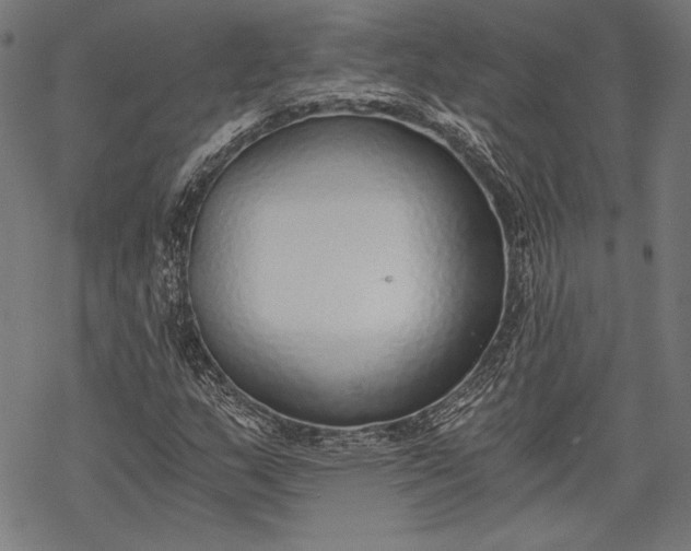 X0000068311159200605051523