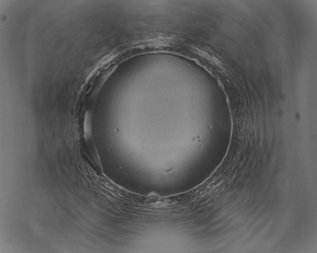 X0000068311160200605051523