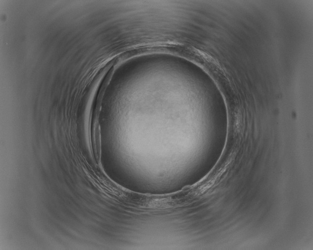 X0000068311161200605051523