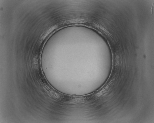 X0000068311162200605051523