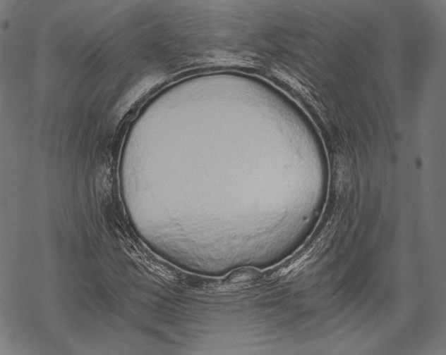 X0000068311163200605051523