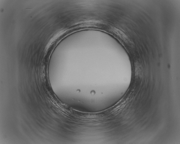 X0000068311164200605051523