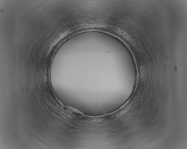 X0000068311165200605051523