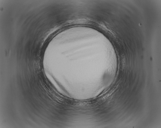 X0000068311166200605051523