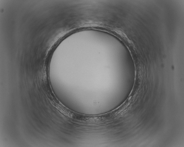 X0000068311167200605051523