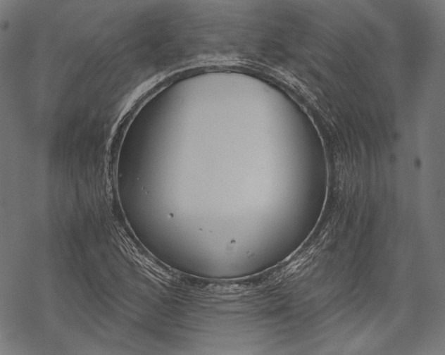 X0000068311168200605051523