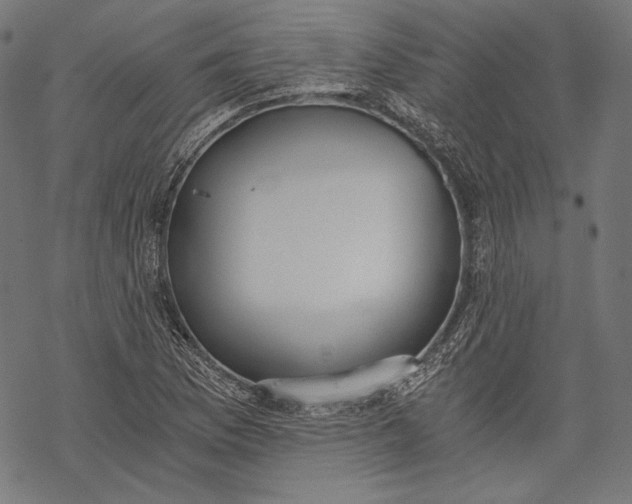 X0000068311169200605051523