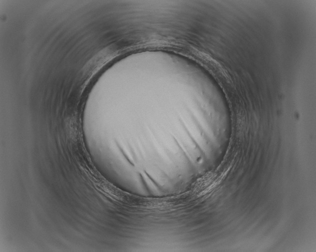 X0000068311170200605051523