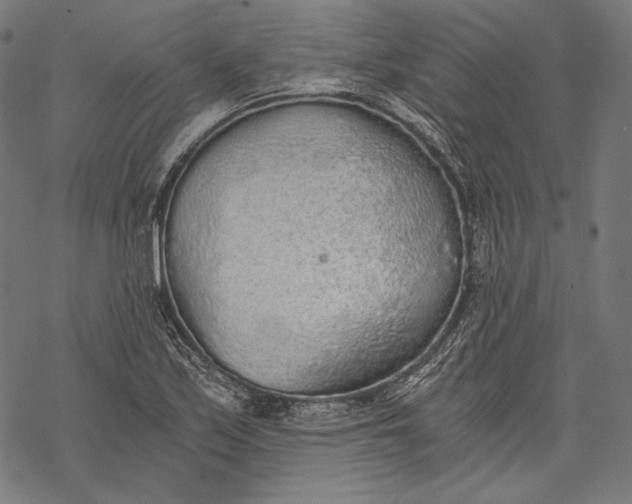 X0000068311171200605051523