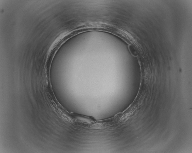 X0000068311172200605051523