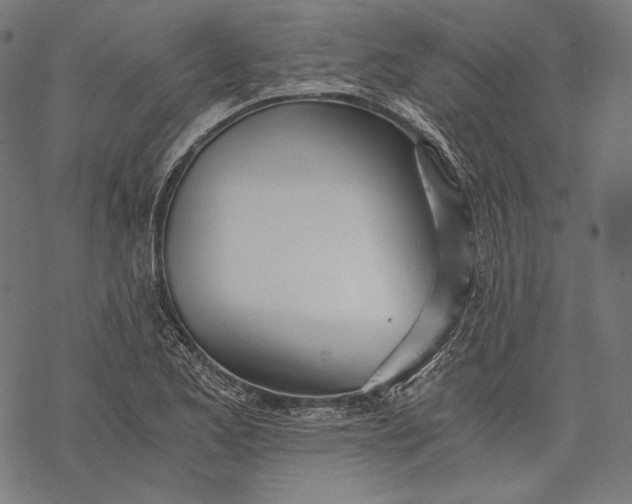 X0000068311173200605051523