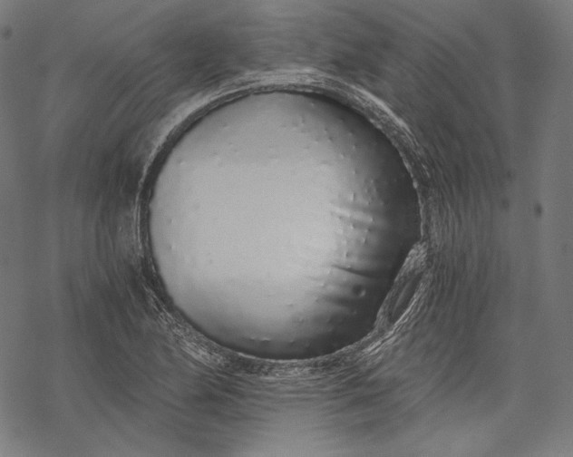 X0000068311174200605051523