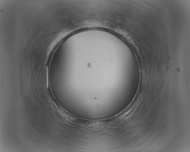 X0000068311175200605051523