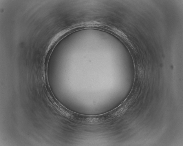 X0000068311176200605051523