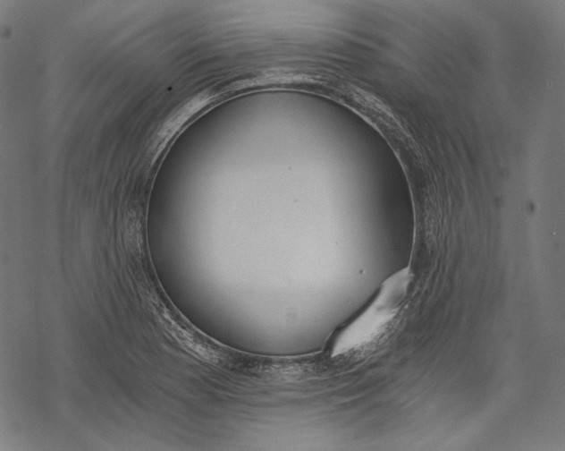 X0000068311177200605051523