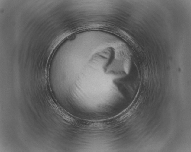 X0000068311178200605051523