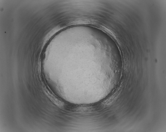 X0000068311179200605051523