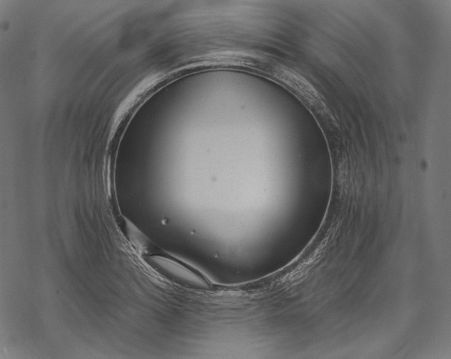 X0000068311180200605051523