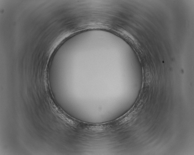 X0000068311182200605051523