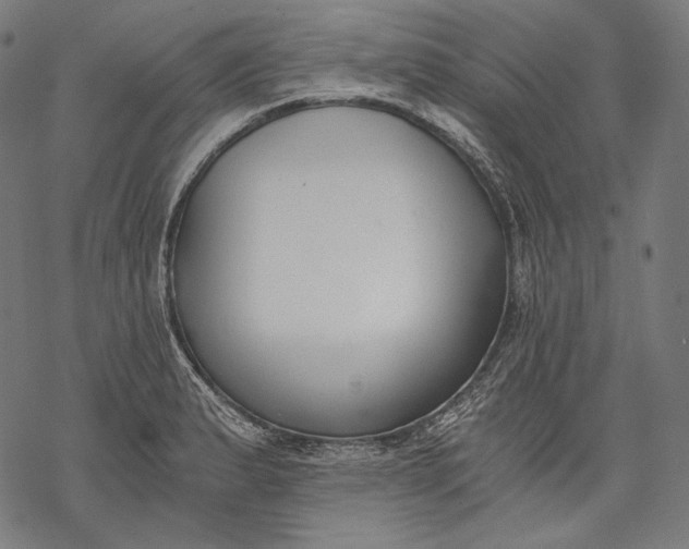 X0000068311183200605051523