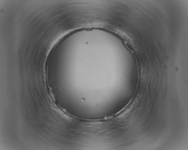 X0000068311184200605051523