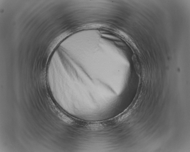 X0000068311186200605051523