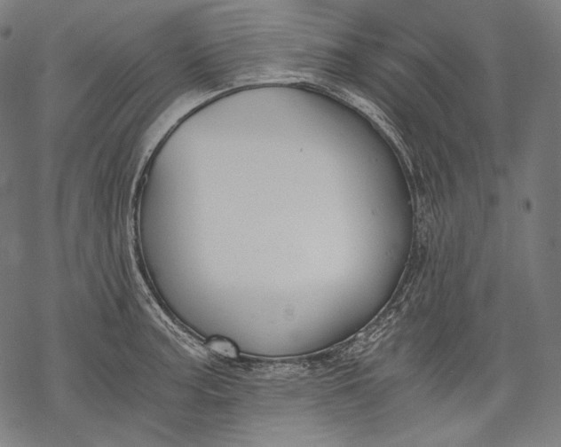 X0000068311187200605051523