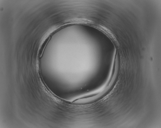 X0000068311188200605051523