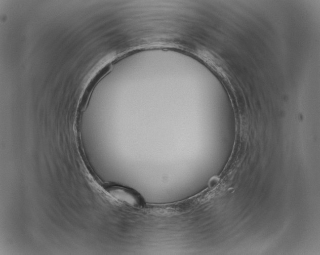 X0000068311189200605051523