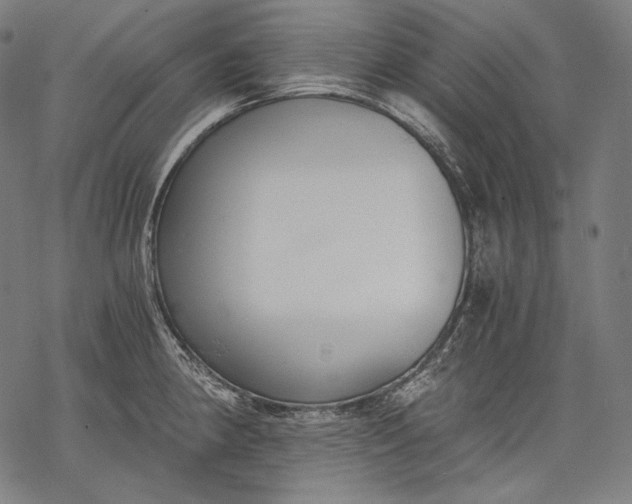 X0000068311190200605051523