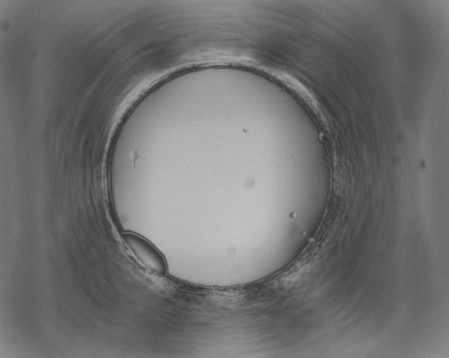 X0000068311191200605051523