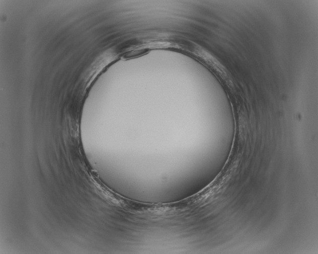 X0000068311193200605051523