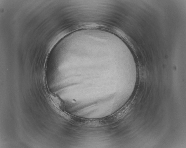 X0000068311194200605051523