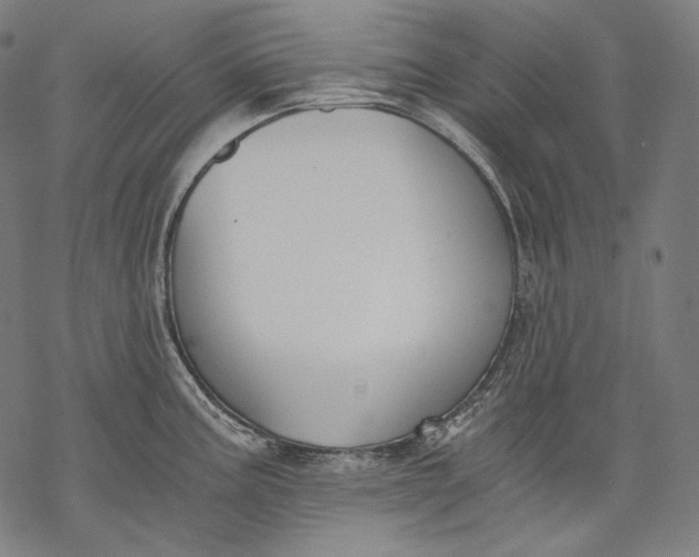 X0000068311195200605051523