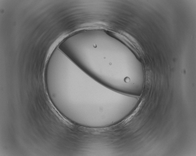 X0000068311196200605051523