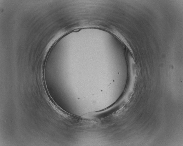 X0000068311197200605051523