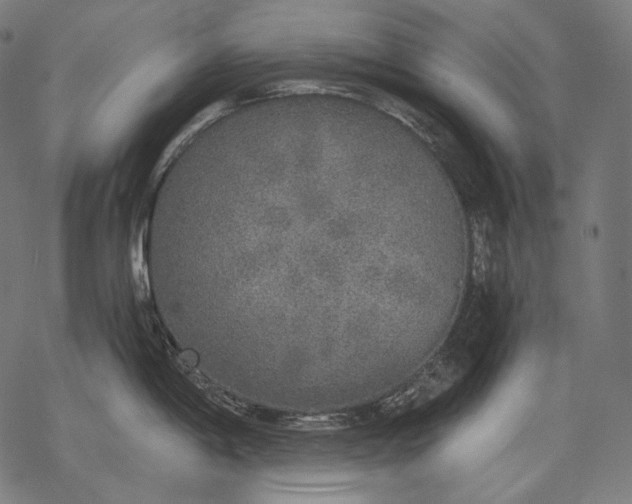 X0000068311198200605051523