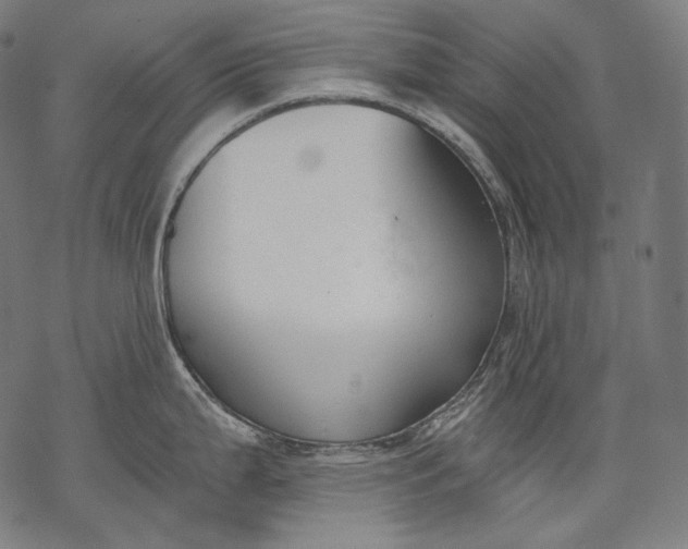 X0000068311199200605051523