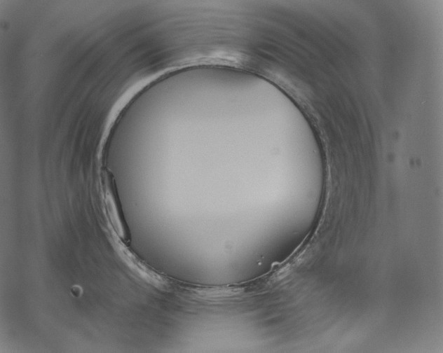 X0000068311200200605051523